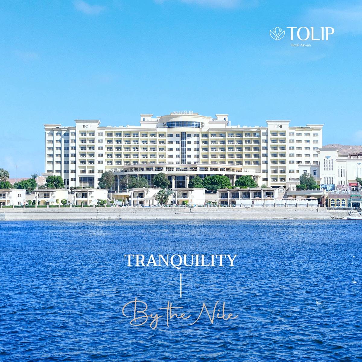 Hotel Img